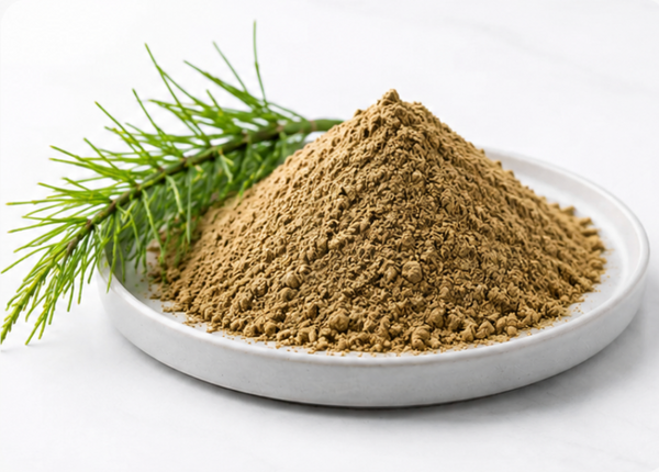 Horsetail Extract